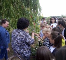 img_20190706_193809_1