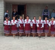 img-7725effc18612db6bd418de747d5d583-v