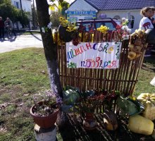 img_20191014_141248