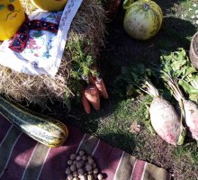 img_20191014_141443
