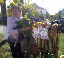 img_20191014_141702
