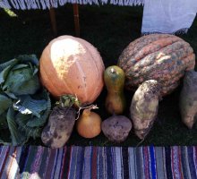 img_20191014_143426